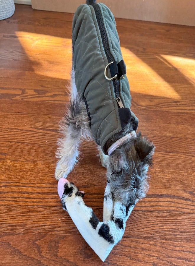 سبوت لعبة SPOT Skinneeez Crinklers Cow - لعبة كلاب بدون حشو، تصدر أصوات طقطقة وصرير، متينة للكلاب التي تمضغ بشكل معتدل، لعبة شد للكلاب الصغيرة والجراء، 14 بوصة - Image 4